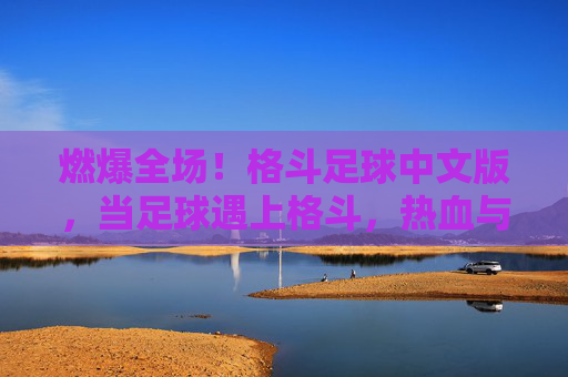 燃爆全场!格斗足球中文版,当足球遇上格斗,热血与激情的完美碰撞
