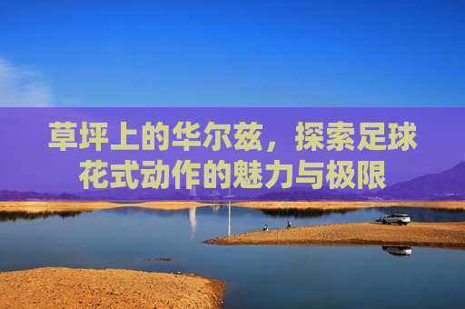 草坪上的华尔兹,探索足球花式动作的魅力与极限