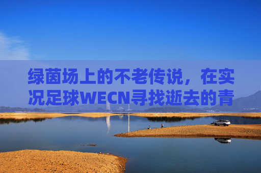 绿茵场上的不老传说,在实况足球WECN寻找逝去的青春
