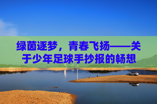 绿茵逐梦,青春飞扬——关于少年足球手抄报的畅想