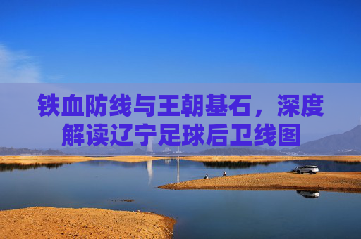 铁血防线与王朝基石，深度解读辽宁足球后卫线图
