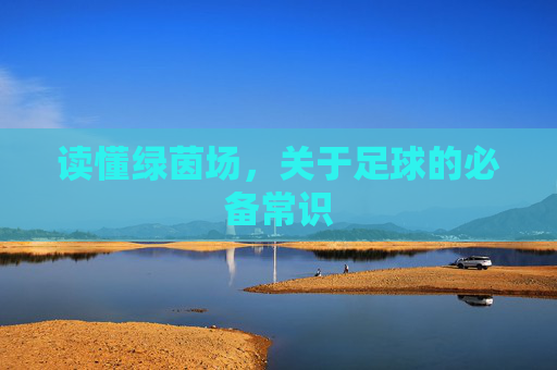 读懂绿茵场,关于足球的必备常识