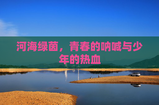 河海绿茵,青春的呐喊与少年的热血