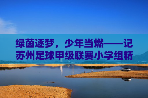 绿茵逐梦,少年当燃——记苏州足球甲级联赛小学组精彩瞬间