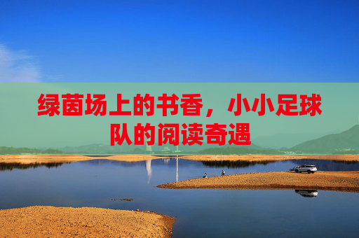 绿茵场上的书香，小小足球队的阅读奇遇