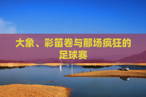 大象、彩笛卷与那场疯狂的足球赛