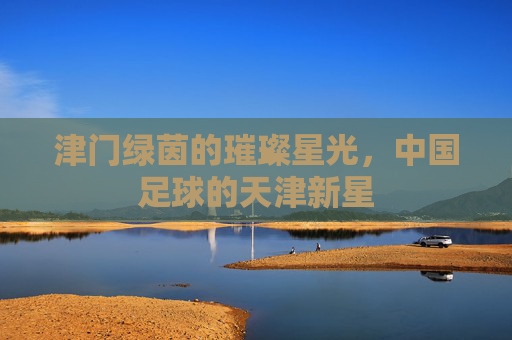 津门绿茵的璀璨星光,中国足球的天津新星