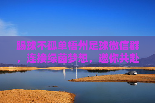 踢球不孤单梧州足球微信群，连接绿茵梦想，邀你共赴激情赛场