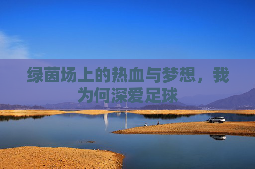 绿茵场上的热血与梦想,我为何深爱足球