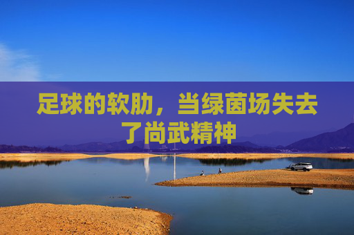 足球的软肋,当绿茵场失去了尚武精神