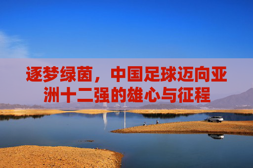 逐梦绿茵，中国足球迈向亚洲十二强的雄心与征程