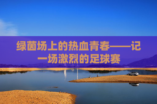 绿茵场上的热血青春——记一场激烈的足球赛