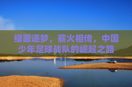 绿茵逐梦,薪火相传,中国少年足球战队的崛起之路