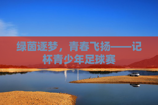 绿茵逐梦,青春飞扬——记杯青少年足球赛