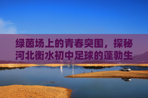 绿茵场上的青春突围,探秘河北衡水初中足球的蓬勃生机