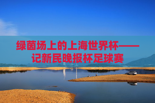 绿茵场上的上海世界杯——记新民晚报杯足球赛