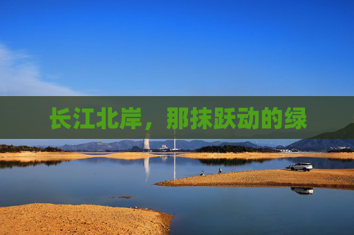 长江北岸，那抹跃动的绿