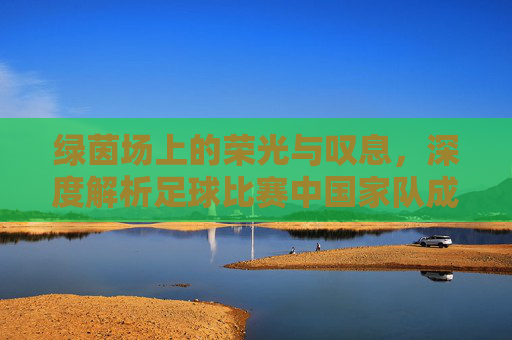 绿茵场上的荣光与叹息,深度解析足球比赛中国家队成绩背后的逻辑