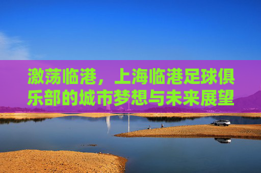 激荡临港，上海临港足球俱乐部的城市梦想与未来展望