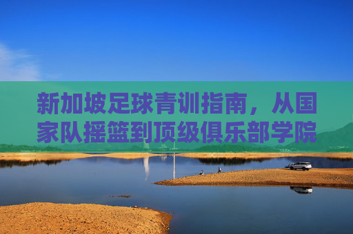 新加坡足球青训指南,从国家队摇篮到顶级俱乐部学院,全解析