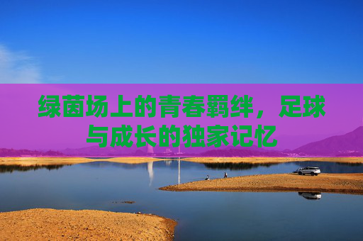 绿茵场上的青春羁绊，足球与成长的独家记忆