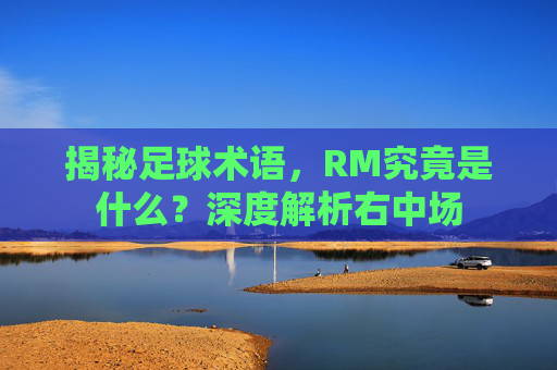 揭秘足球术语,RM究竟是什么?深度解析右中场