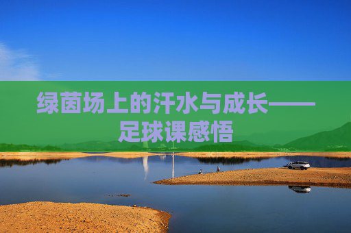 绿茵场上的汗水与成长——足球课感悟
