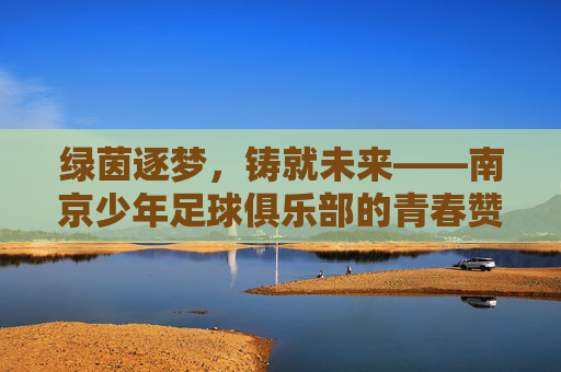 绿茵逐梦，铸就未来——南京少年足球俱乐部的青春赞歌