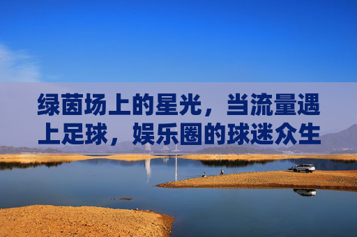 绿茵场上的星光，当流量遇上足球，娱乐圈的球迷众生相