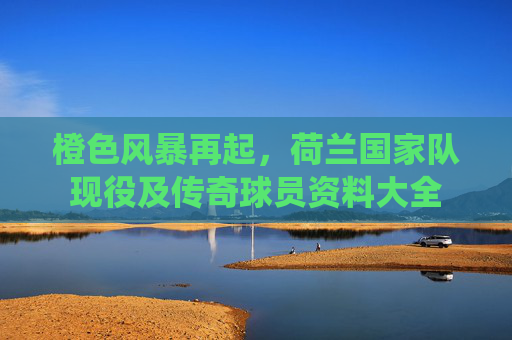 橙色风暴再起，荷兰国家队现役及传奇球员资料大全
