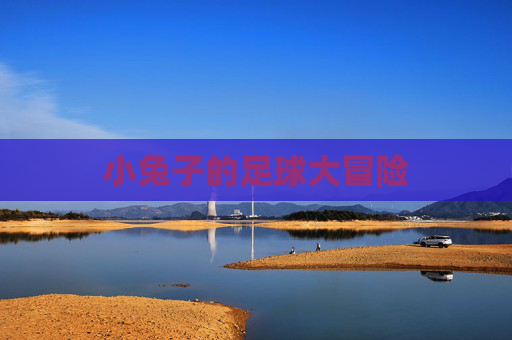 小兔子的足球大冒险