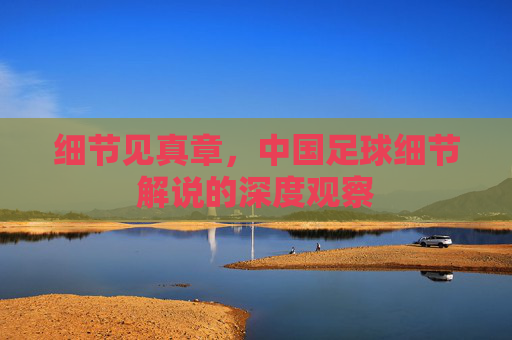 细节见真章,中国足球细节解说的深度观察
