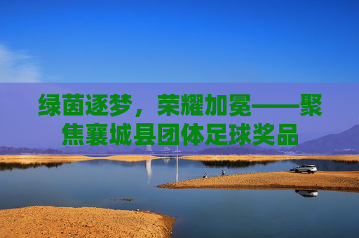 绿茵逐梦,荣耀加冕——聚焦襄城县团体足球奖品