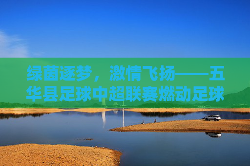 绿茵逐梦，激情飞扬——五华县足球中超联赛燃动足球之乡