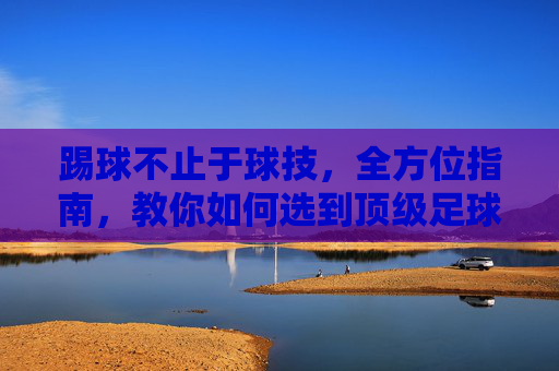 踢球不止于球技，全方位指南，教你如何选到顶级足球场