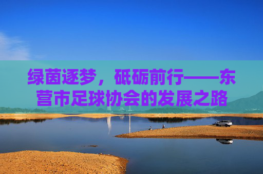 绿茵逐梦，砥砺前行——东营市足球协会的发展之路