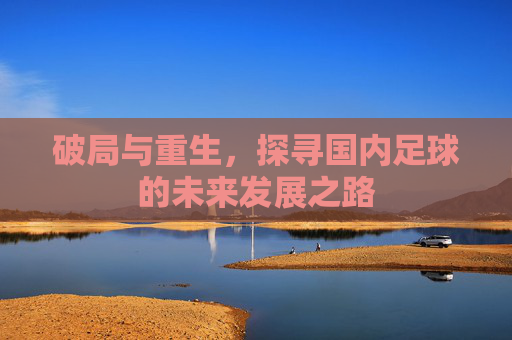 破局与重生，探寻国内足球的未来发展之路