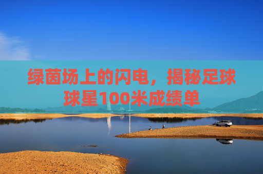绿茵场上的闪电,揭秘足球球星100米成绩单