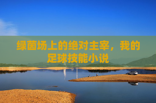绿茵场上的绝对主宰，我的足球技能小说