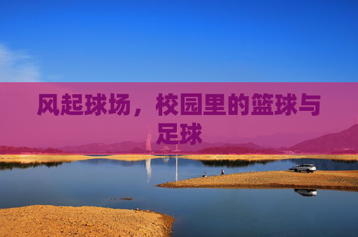 风起球场,校园里的篮球与足球