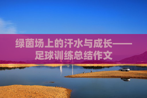 绿茵场上的汗水与成长——足球训练总结作文