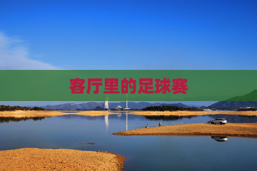 客厅里的足球赛