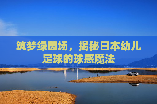 筑梦绿茵场，揭秘日本幼儿足球的球感魔法