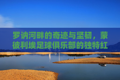 罗讷河畔的奇迹与坚韧，蒙彼利埃足球俱乐部的独特红白传奇