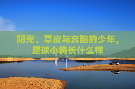 阳光、草皮与奔跑的少年,足球小将长什么样