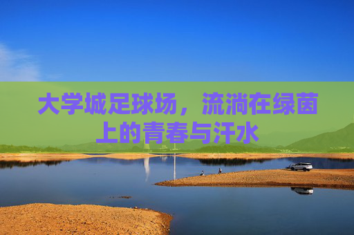 大学城足球场，流淌在绿茵上的青春与汗水