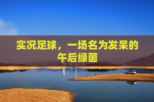 实况足球,一场名为发呆的午后绿茵