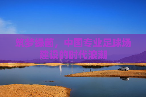 筑梦绿茵,中国专业足球场建设的时代浪潮