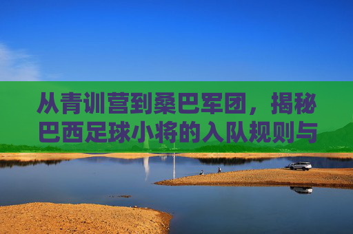 从青训营到桑巴军团,揭秘巴西足球小将的入队规则与残酷竞争