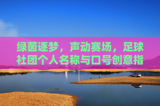 绿茵逐梦，声动赛场，足球社团个人名称与口号创意指南
